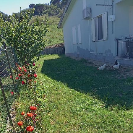 Villetta San Giovanni 卡拉塔菲米 外观 照片