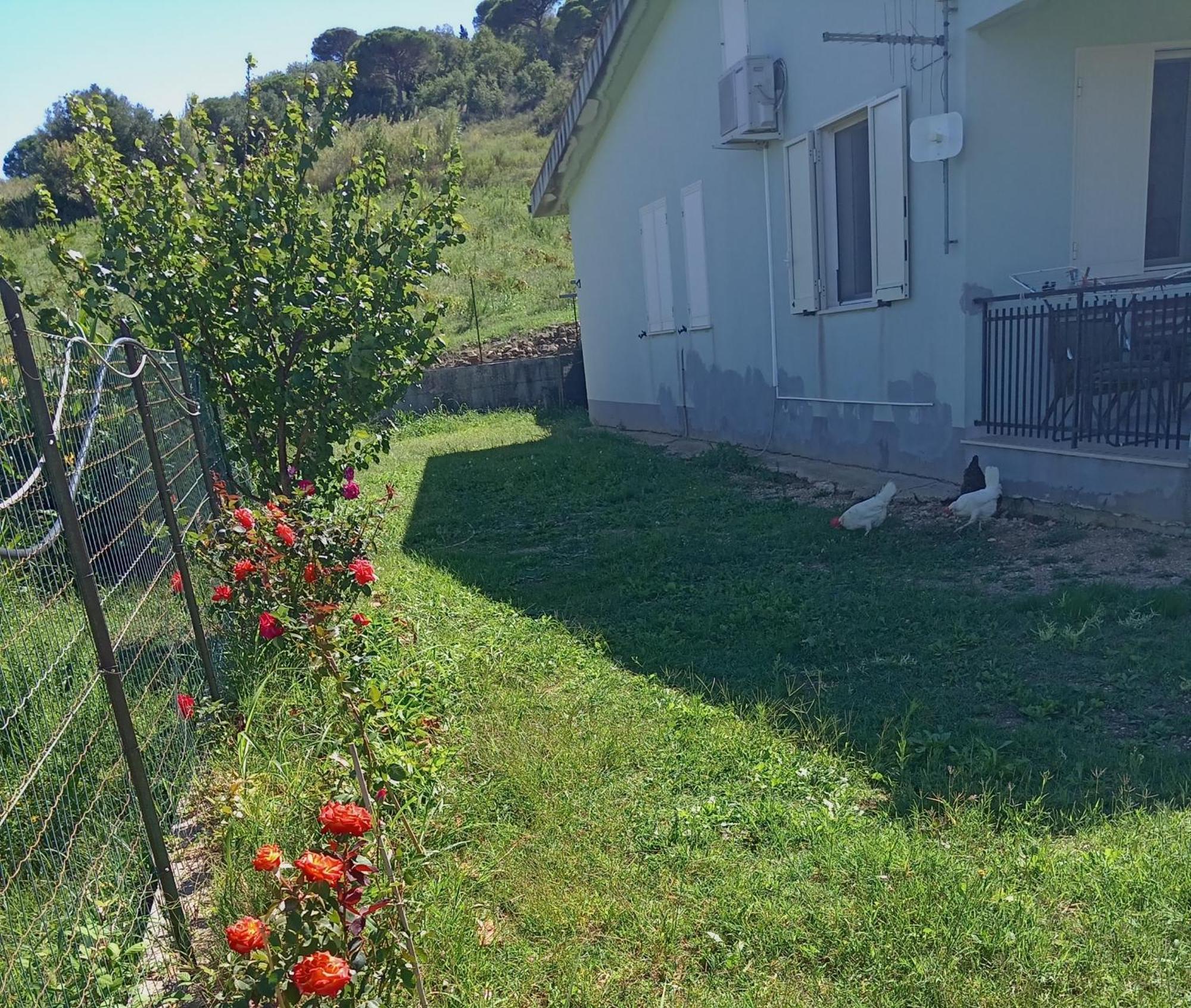 Villetta San Giovanni 卡拉塔菲米 外观 照片