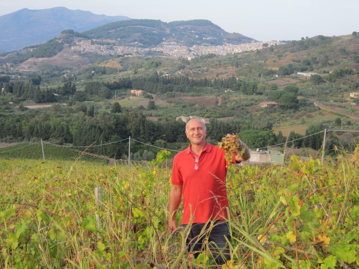 Villetta San Giovanni 卡拉塔菲米 外观 照片