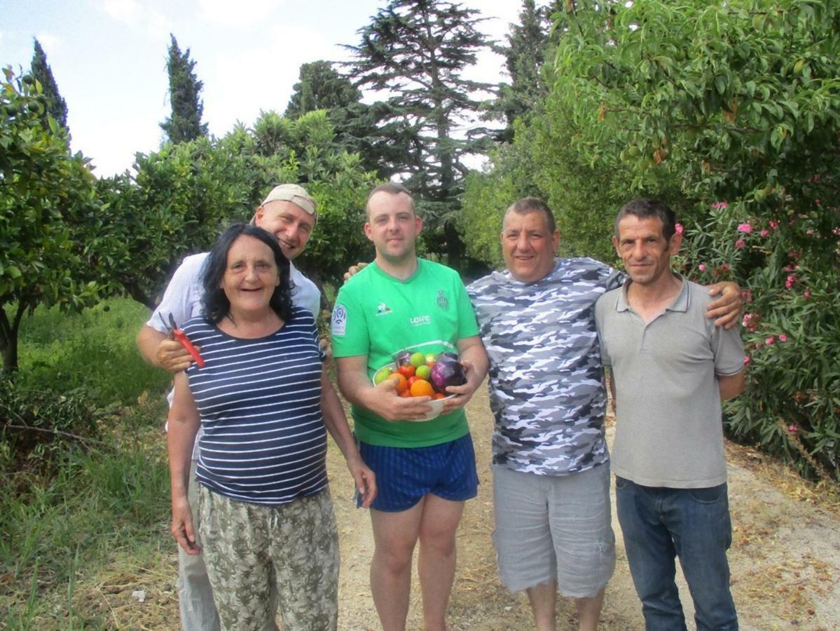 Villetta San Giovanni 卡拉塔菲米 外观 照片